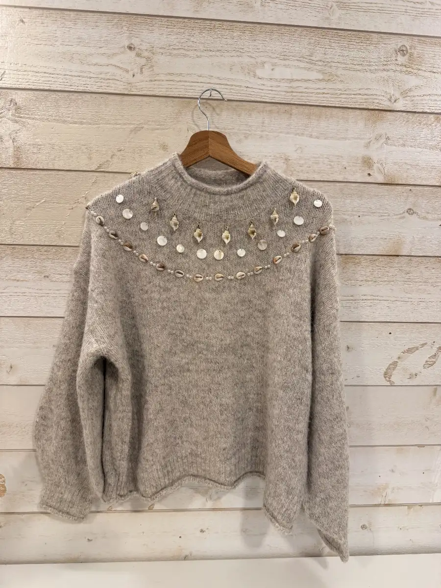 Pull Coquillage #860