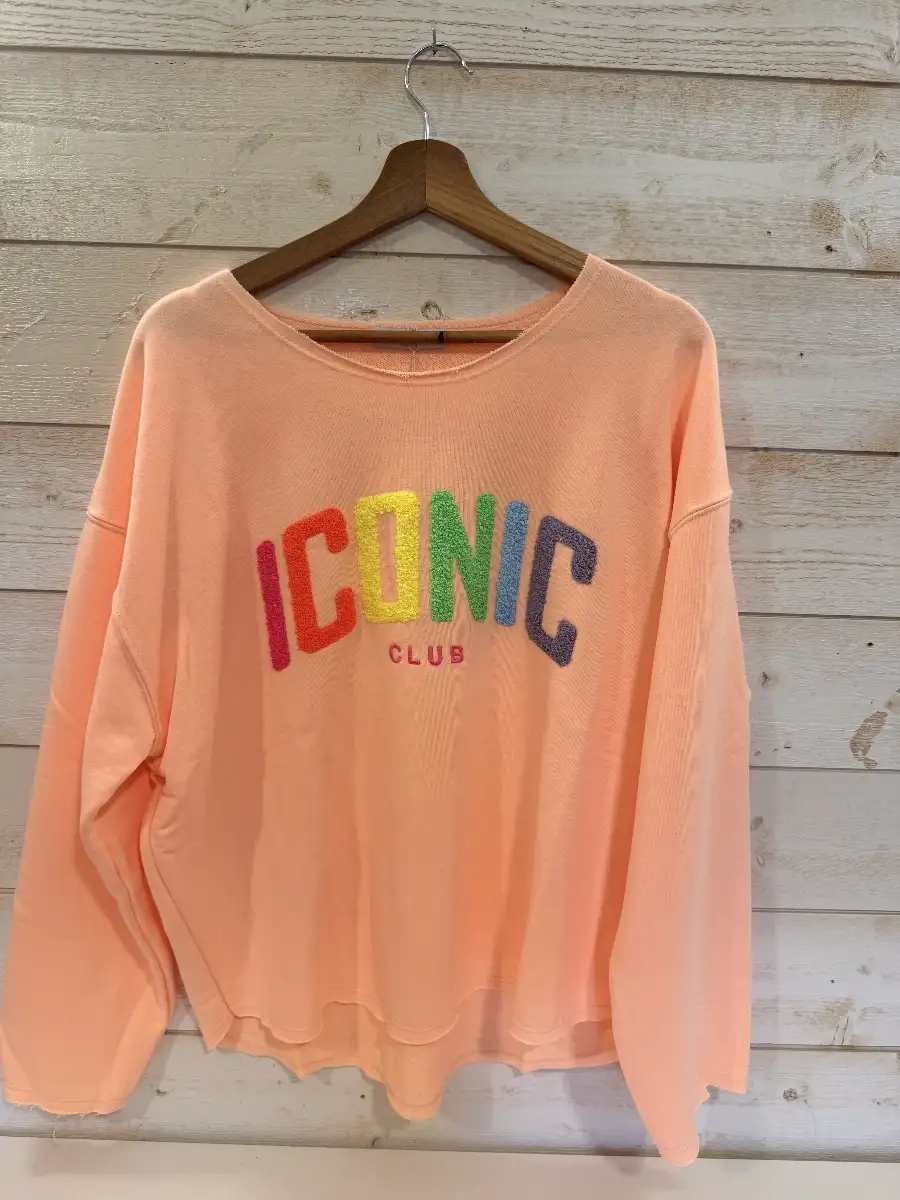#893 Sweat ICONIC Saumon