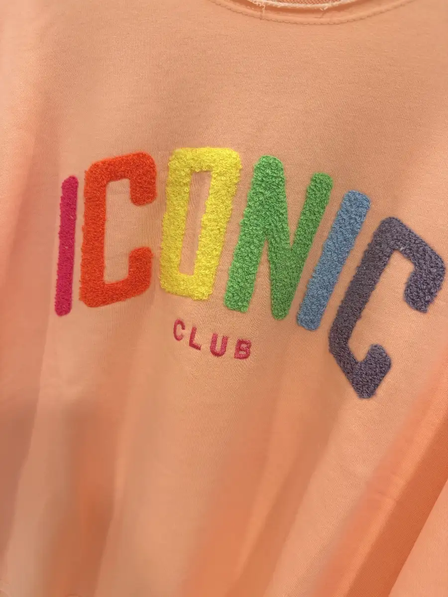 #893 Sweat ICONIC Saumon