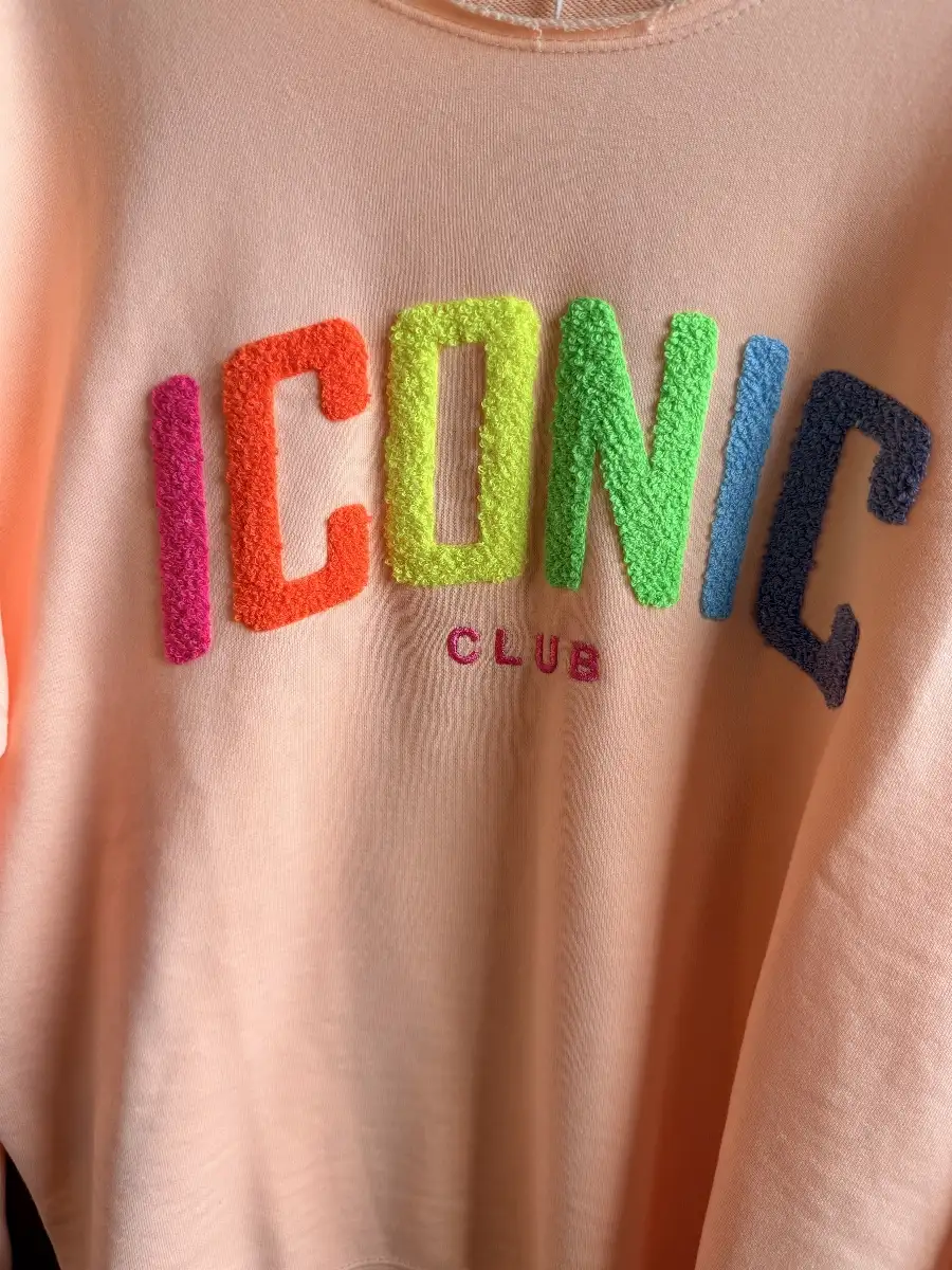 #893 Sweat ICONIC Saumon